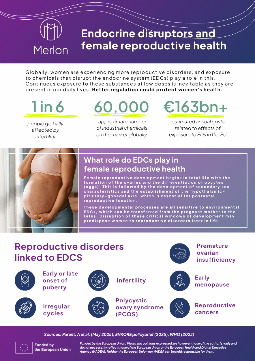 Infographic edcs and female reproductive health