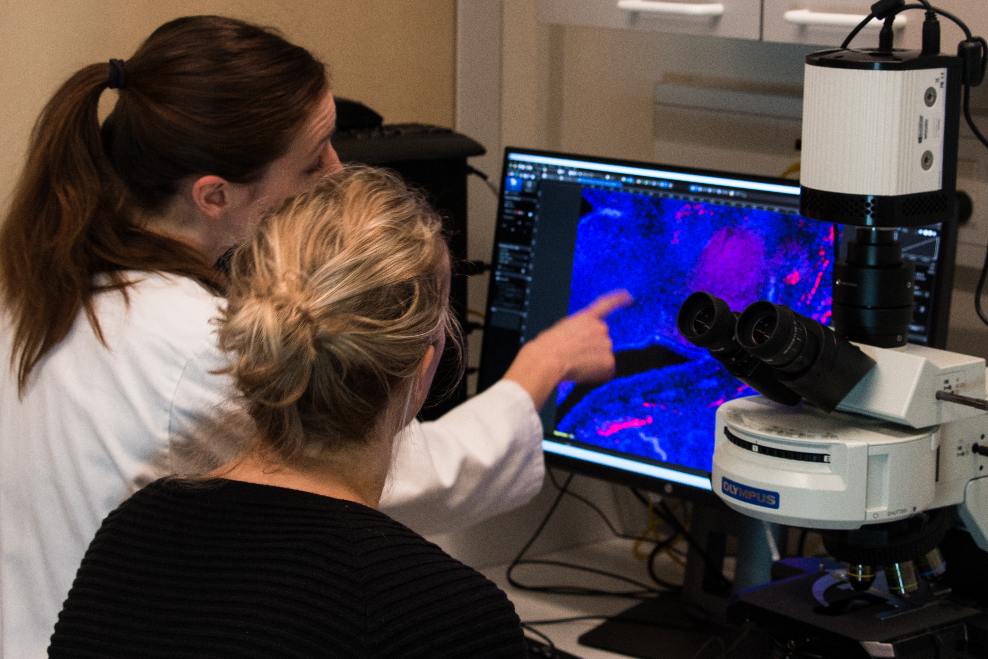 Two researchers examining test results 